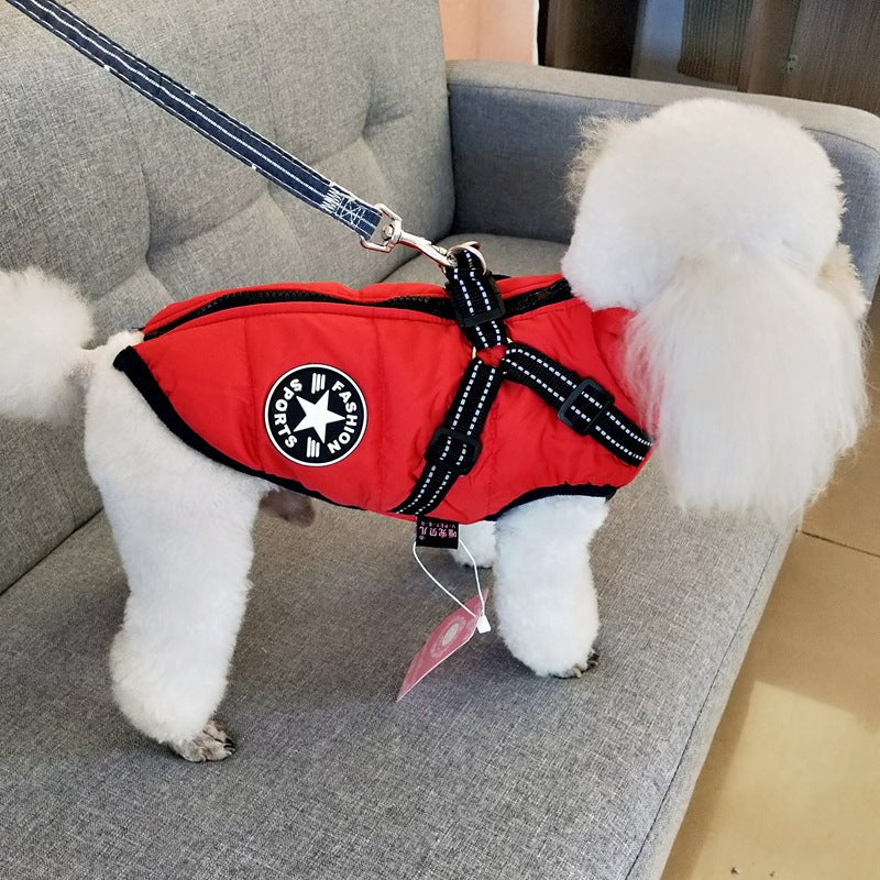 Dog wearing padded winter coat with harness