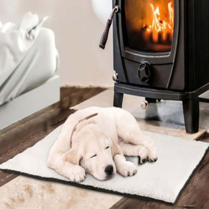 Self Heating Dog and Cat Blanket, No Electricity Needed