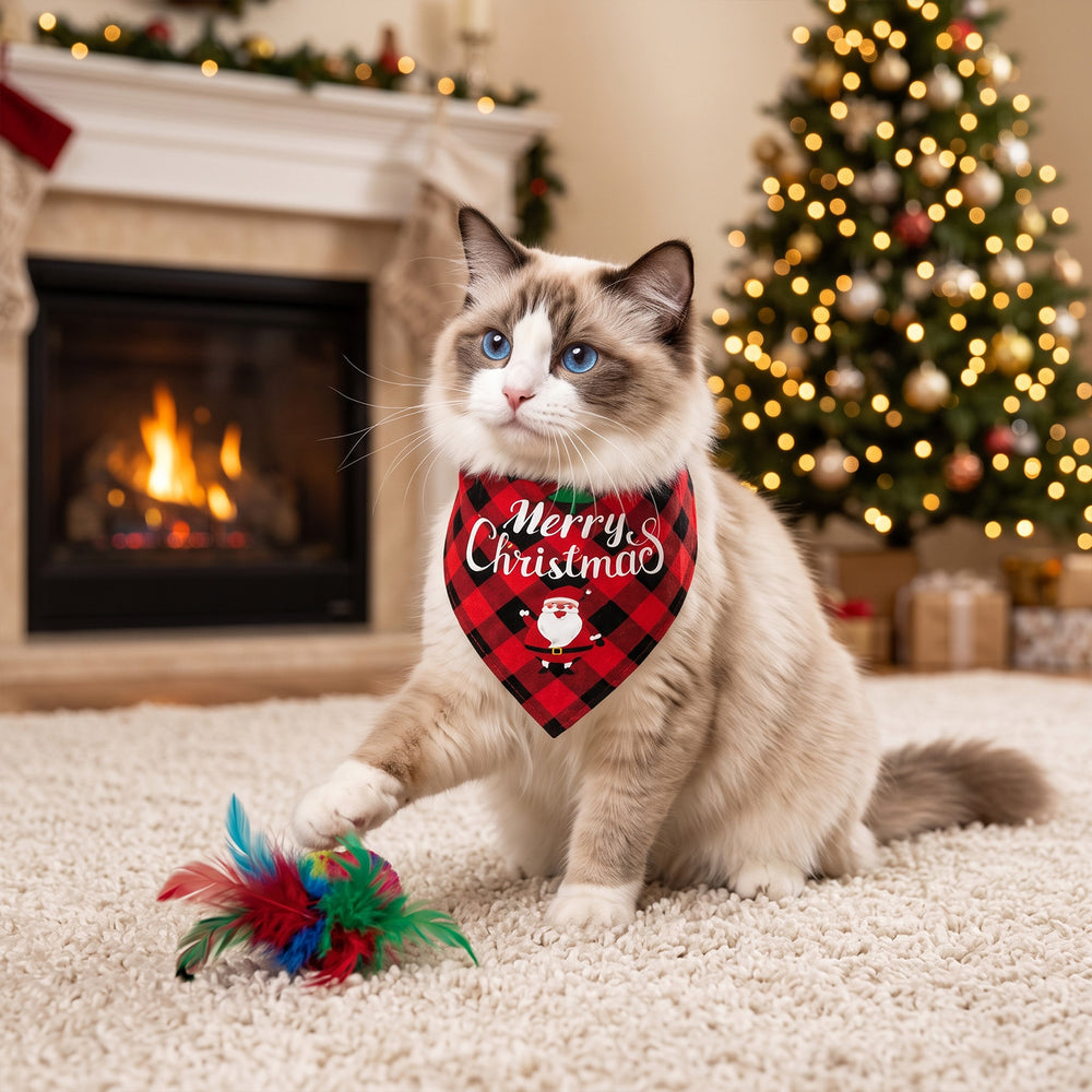 Christmas advent calendar box for cats with toys