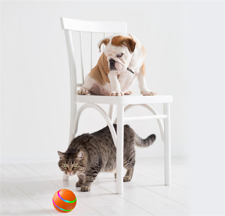 Self-rolling LED ball toy for pets
