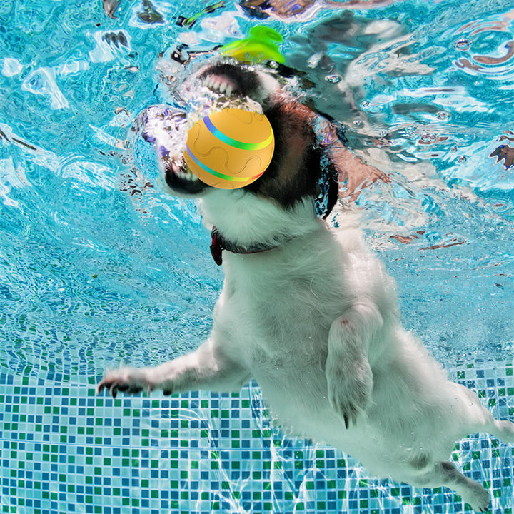 Self-rolling LED ball toy for pets