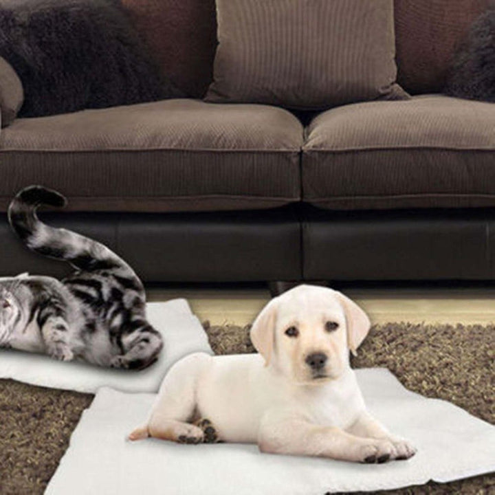 Self Heating Dog and Cat Blanket, No Electricity Needed
