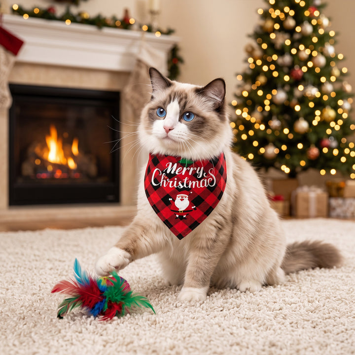Christmas advent calendar box for cats with toys
