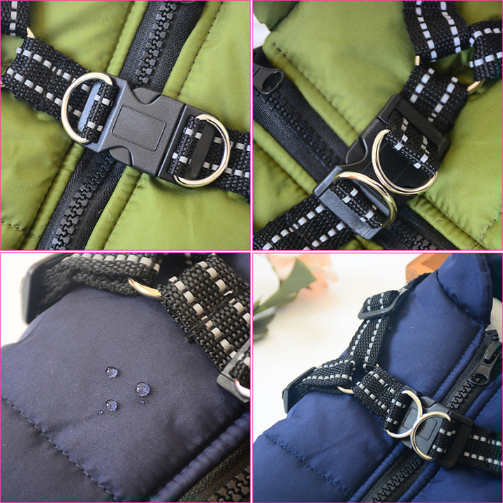 Dog wearing padded winter coat with harness