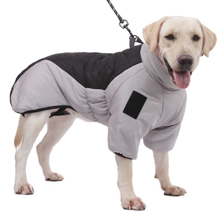 Plushridge Padded Winter Dog Coat with High Collar