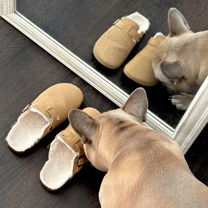 Suede Clogs with Faux Fur Lining and Cork Footbed